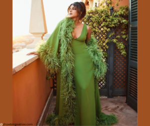 Priyanka Chopra wore a marabou feathered Valentino robe and outfit