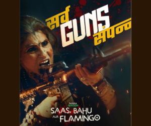 Saas Bahu Aur Flamingo Cast, Platform, Genre, Story, Release Date, Trailer