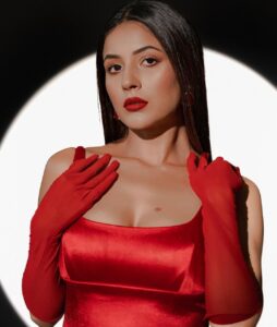 Shehnaaz Gill Breaks the Internet in a Rs. 17k red midi dress