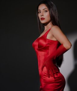 Shehnaaz Gill Breaks the Internet in a Rs. 17k red midi dress