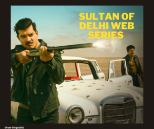 Sultan Of Delhi Web Series