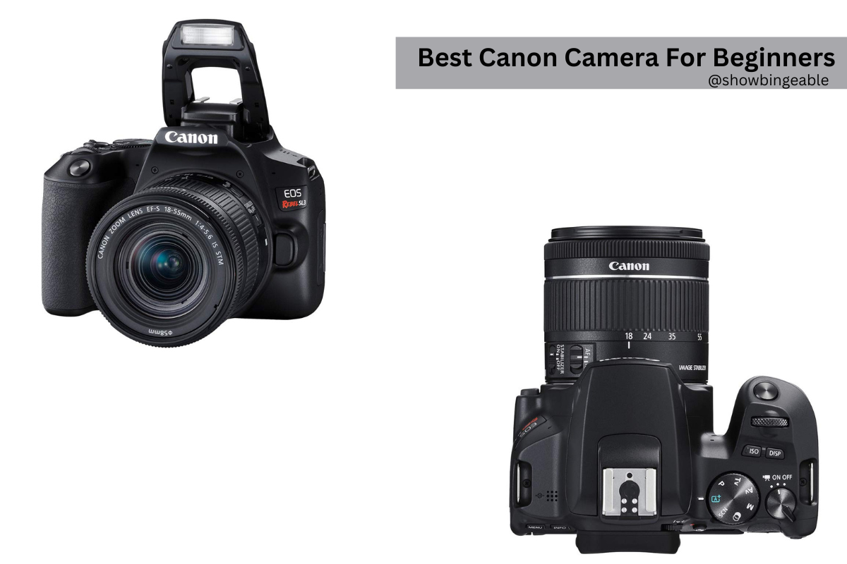 Best Canon Camera For Beginners