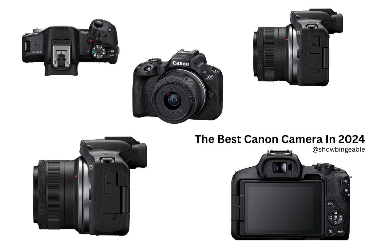 The Best Canon Camera In 2024